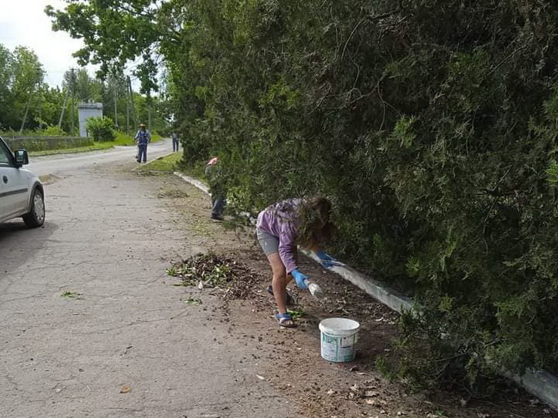 Літній благоустрій у Дубинівському старостинському окрузі.