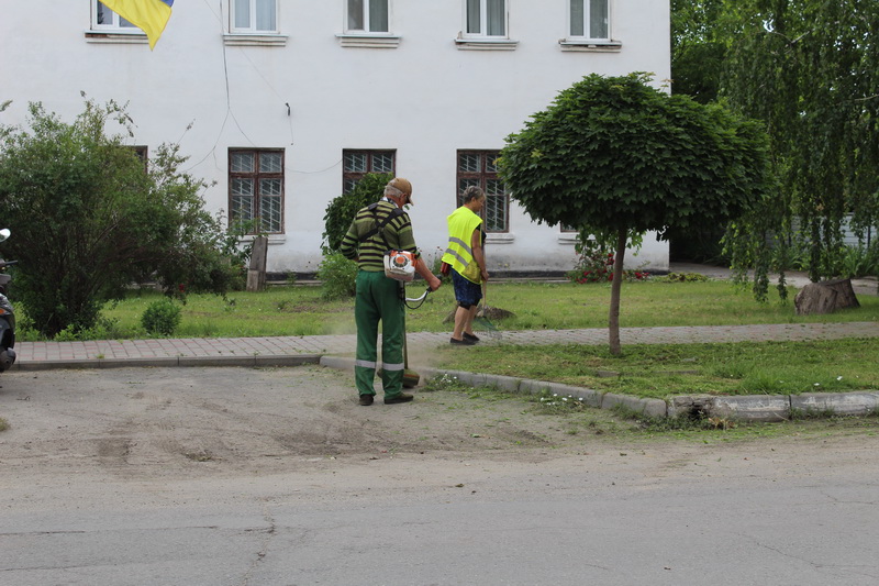 IMG 5693
