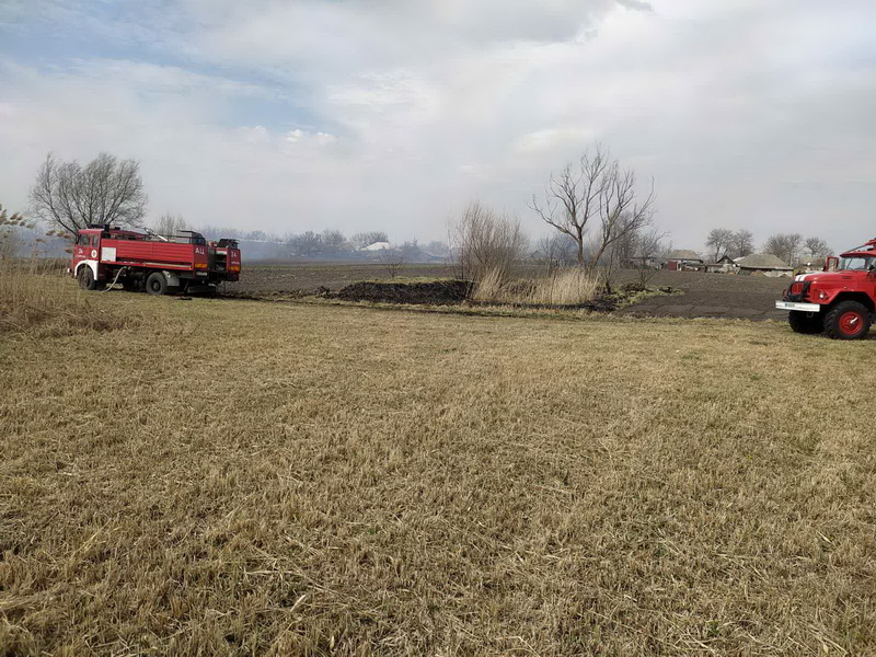 Звернення до паліїв сухої трави та мешканців, які їх покривають.